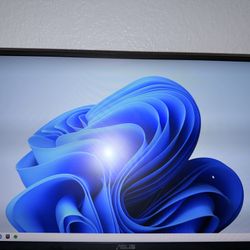 ASUS monitor VG259QM