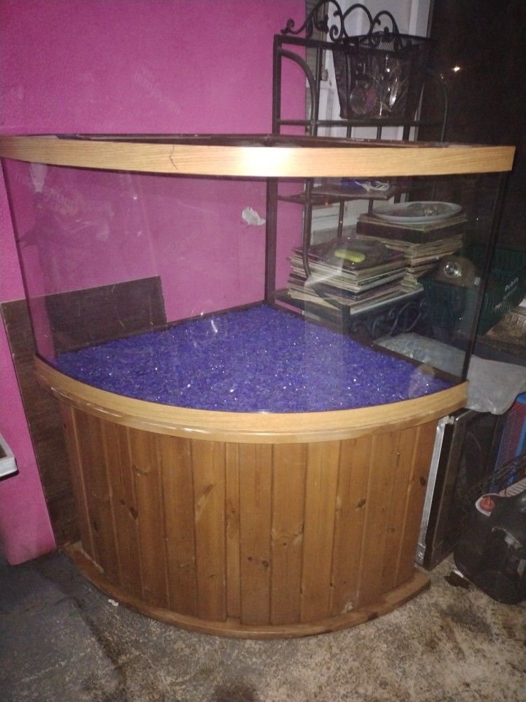 Fish Aquarium