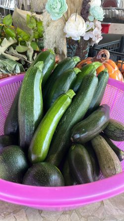 Calabacitas  tiernas a la venta $1 la libra