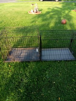 Dog Cages