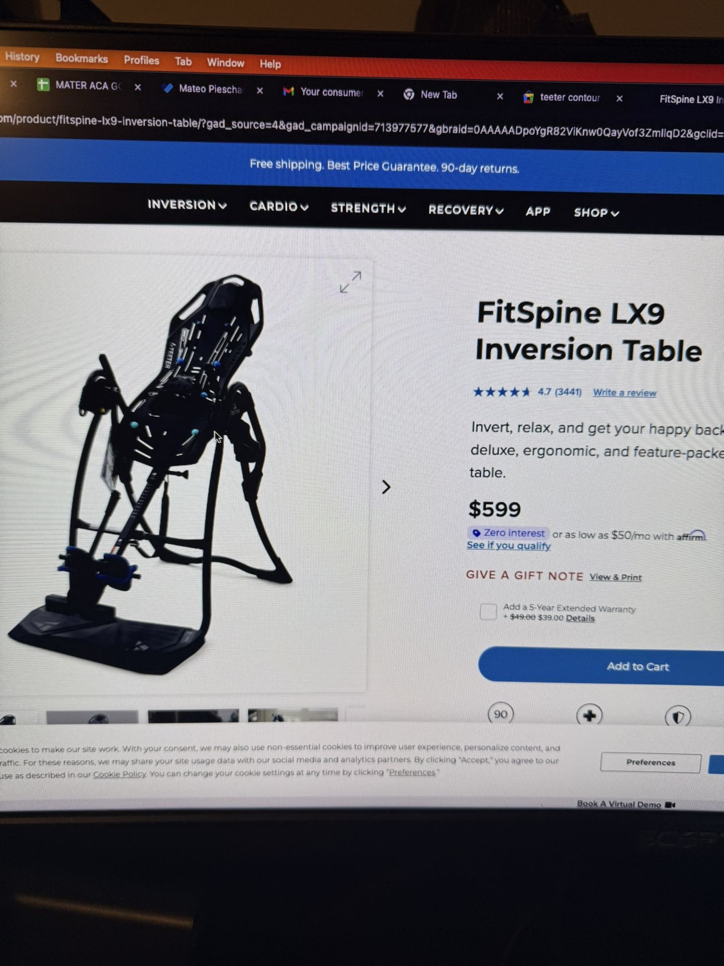 Teeter Spine Stretcher