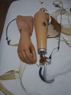 Prosthetic Arm With Claw