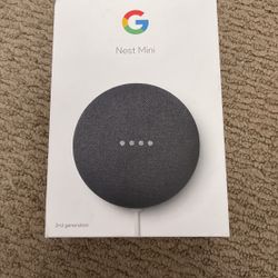 Google Nest Mini