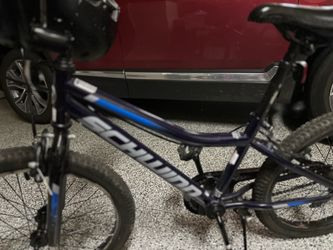 Schwinn 20 inch bike in excellent condition