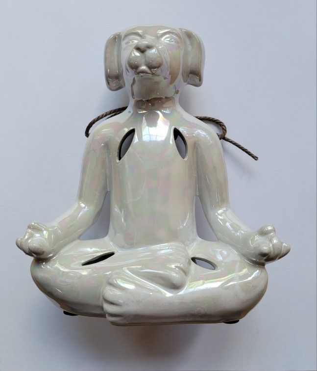 White Iredescent Dog In Yoga Position With Potpourri