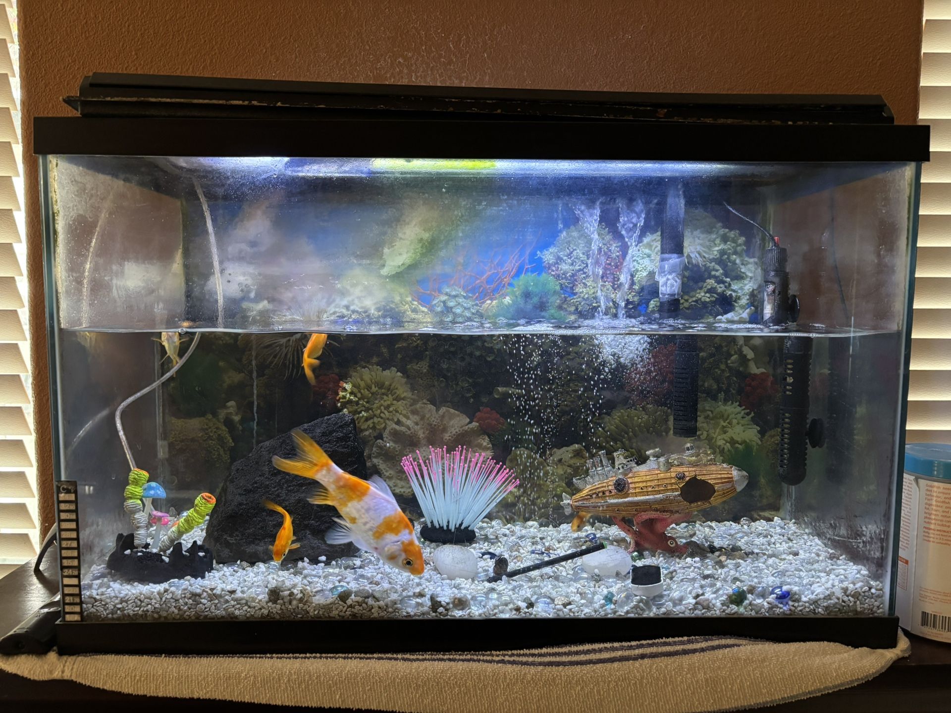 Fish Tank Kit