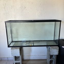 Fish tank 55 inch Long