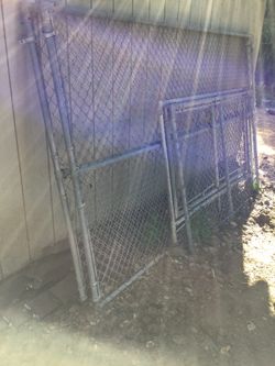 Dog, Goat In cloaser