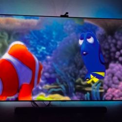65” Samsung Television 