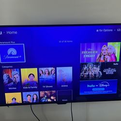 Insignia Tv 40” Works Great 