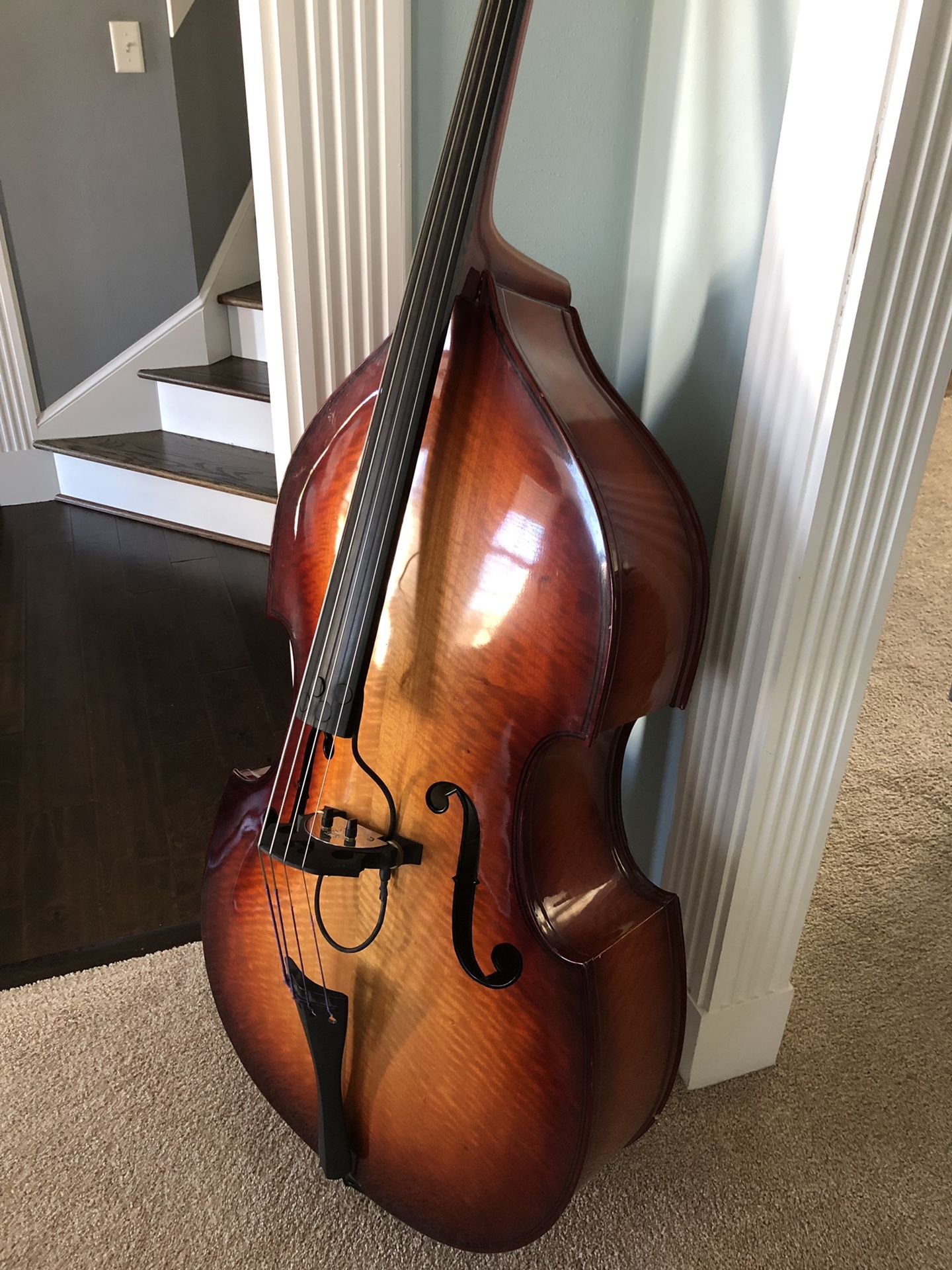 King Double Bass “Tiger King” Electric Upright Bass