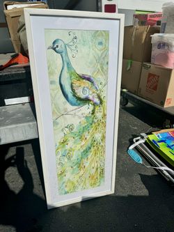 Large Framed Peacock Print