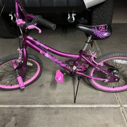 Pink Bike 20”