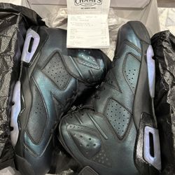 Jordan 6 Retro All Star - Chameleon 2017 Sz 10.5 NEW 