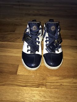 Nike Zoom LeBron V