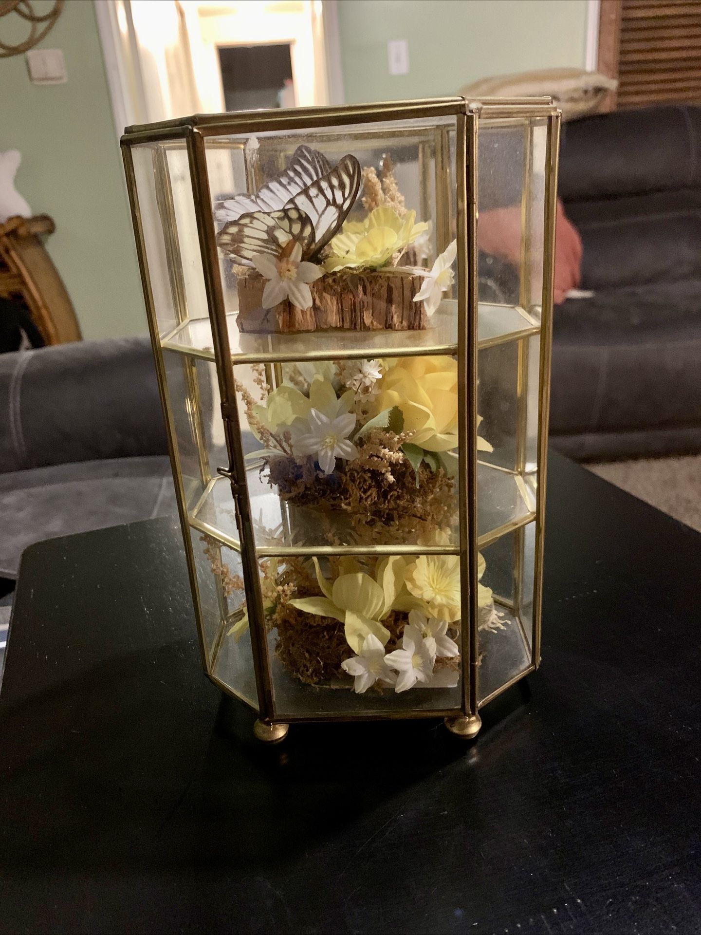Vintage Butterfly Taxidermy Floral Glass Curio Cabinet