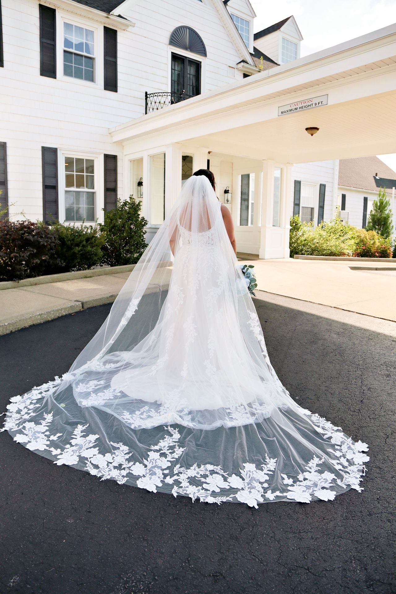 Cathedral Veil