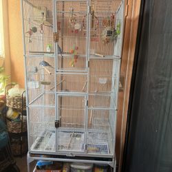 Big Bird Cage 