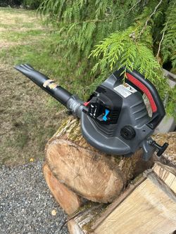Gas Blower