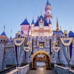 Theme Park Tickets (4)