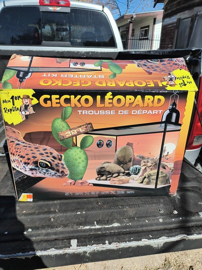 Reptile Starter Kit