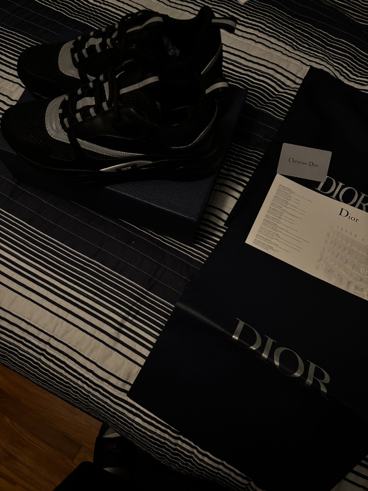 Dior B22(43)