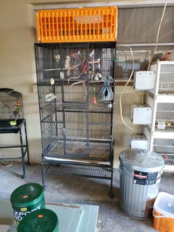 large cage for birds