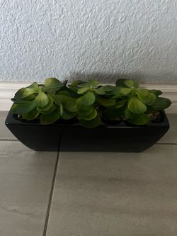 Artificial Plant in Black Ceramic Vase-New