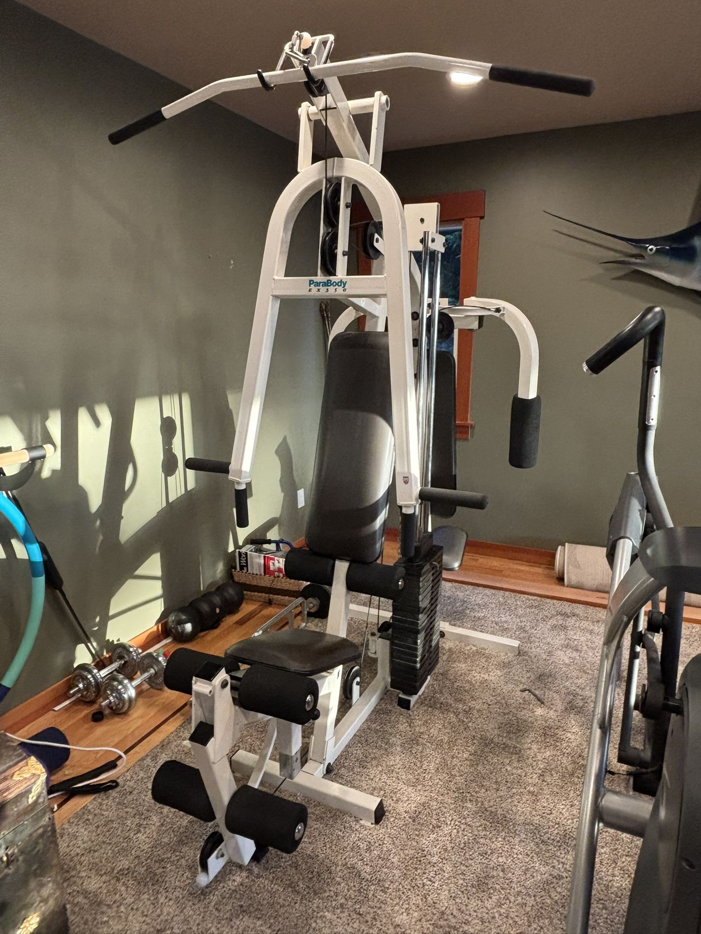 Parabody EX350 Multi Weight Station