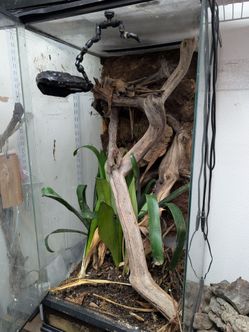 Zoomed skyscraper reptile cage