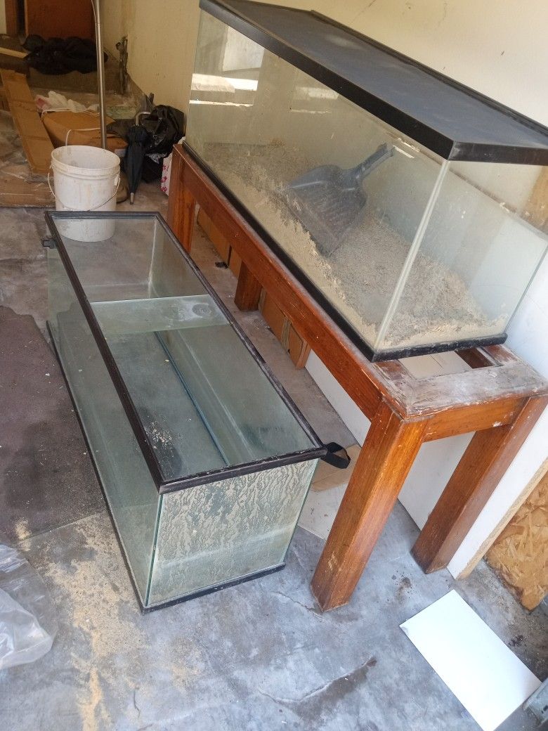 Fish Tank For Reptile