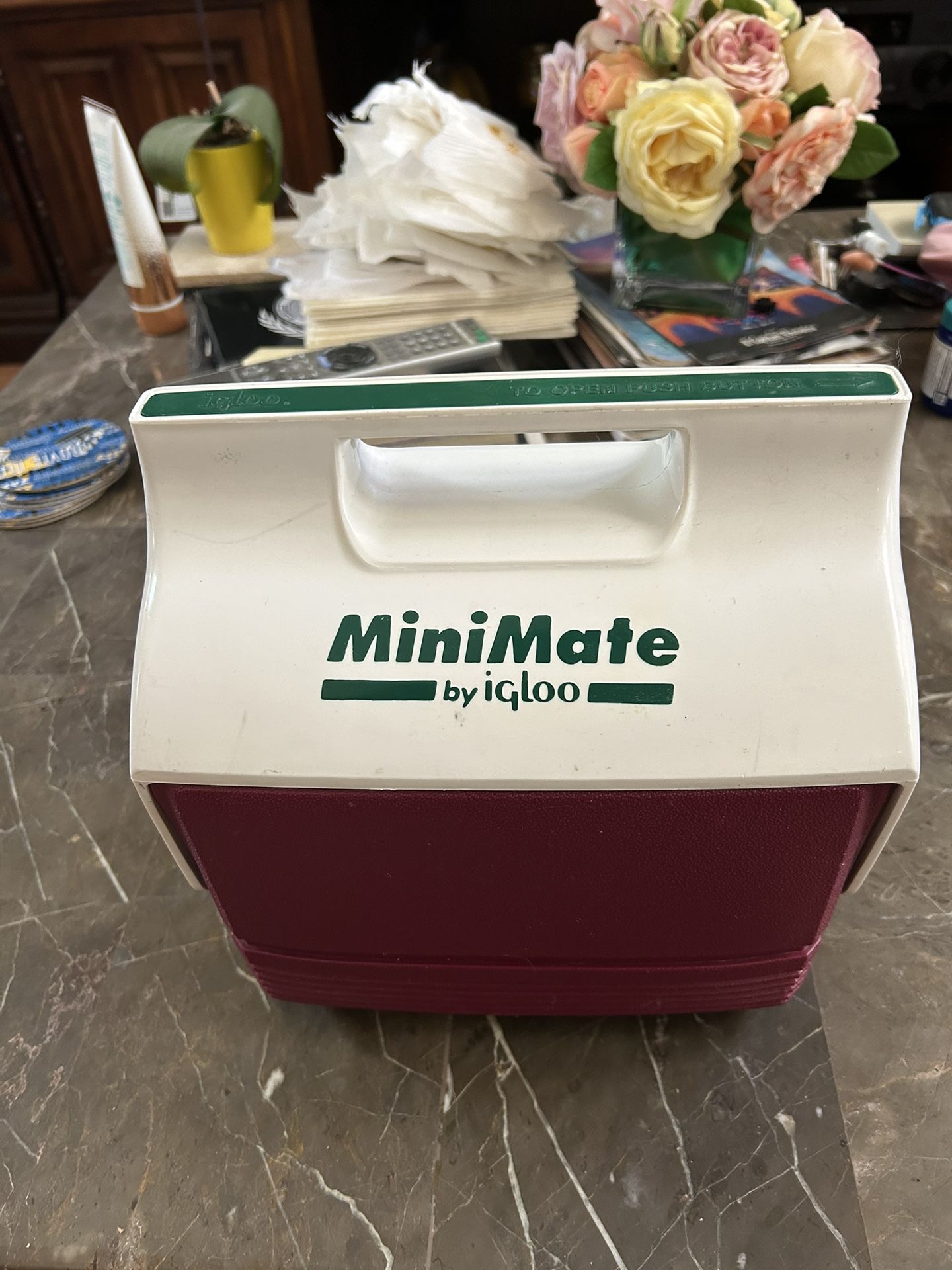 MiniMate By Igloo ice chest cooler