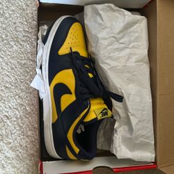 Nike Dunk Michigan Sz 10 