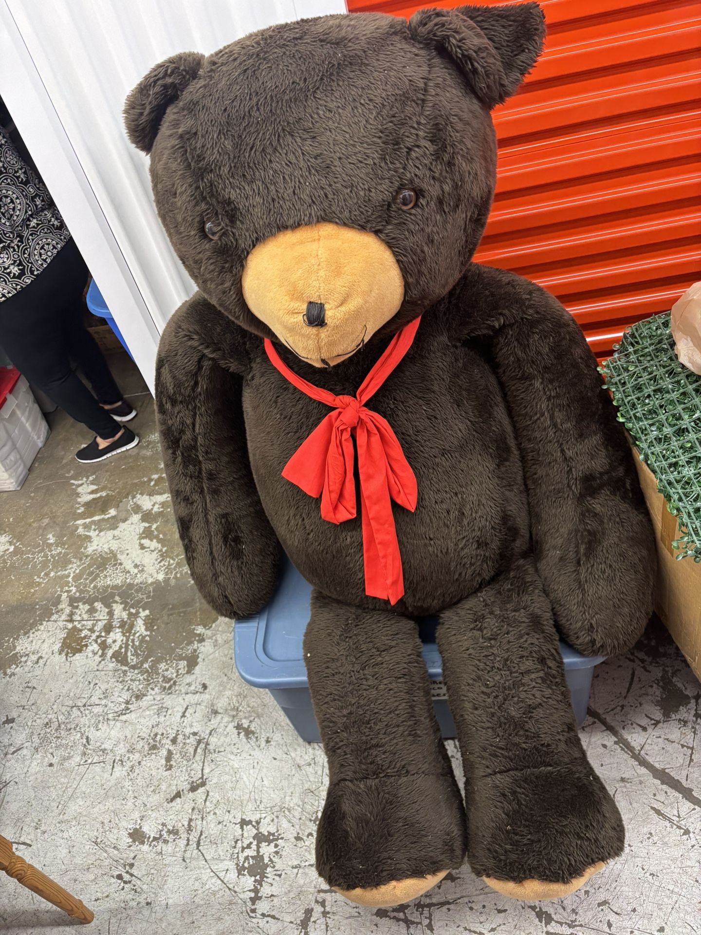 Big Teddy Bear