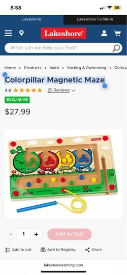 Caterpillar Magnetic Maze 🐛 Lakeshore