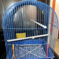 Bird Cage 