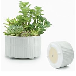 Plant Pots Indoor with Drainage Hole and Mesh Cricle, Elegant Round White Ceramic Pots for Succulents Plants, Diameter 6.5/8 Inches Large Flower Plant
