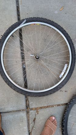 Bike Tire and rims