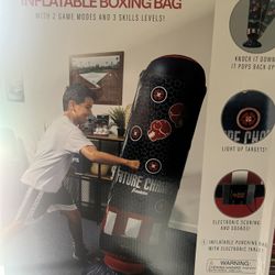 BOXING BAG