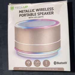 TechUp Metallic Wireless Portable Speaker