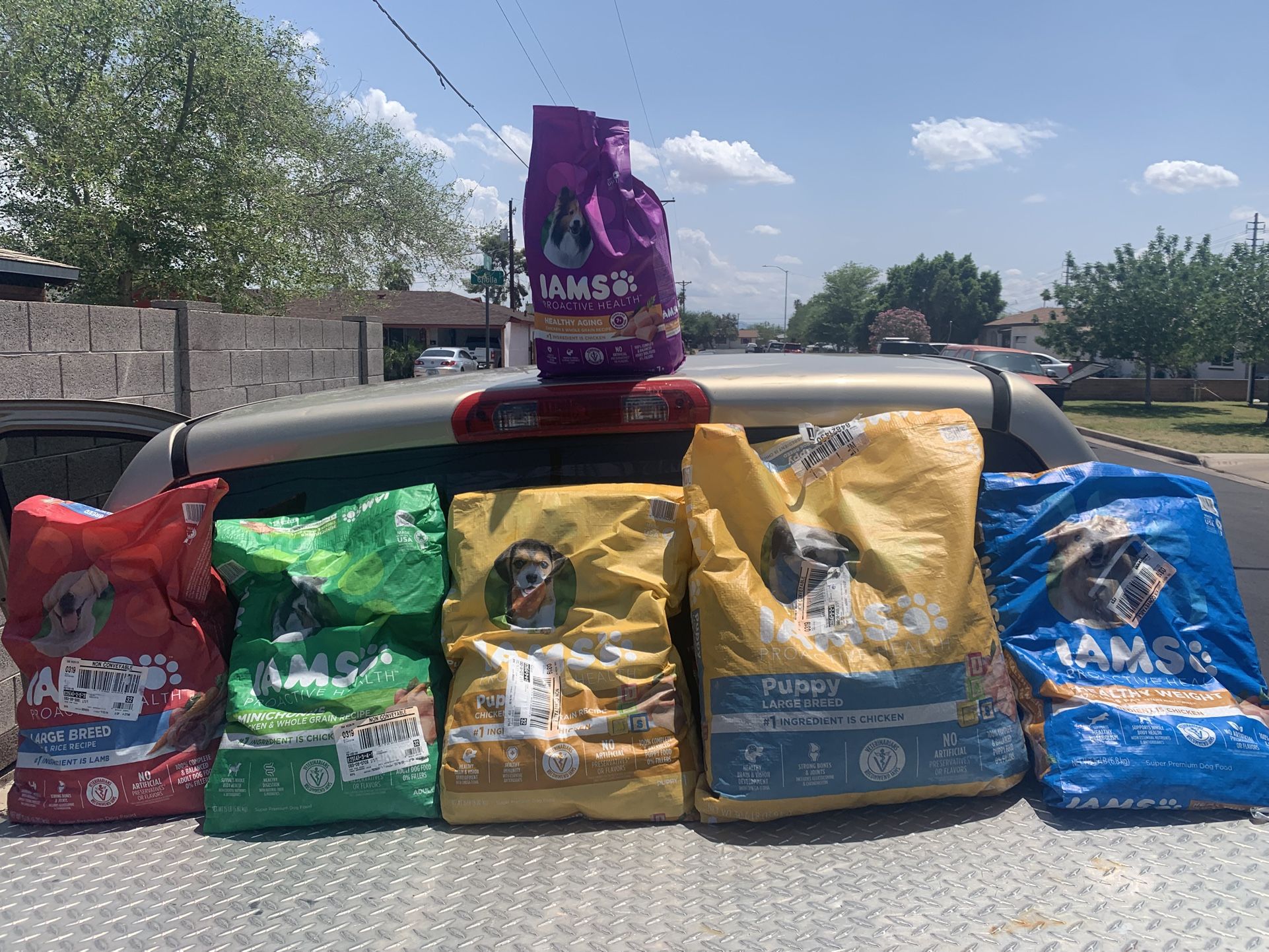 Dog Food (Variety)