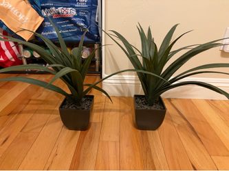 Misc home decor - see description for items and prices