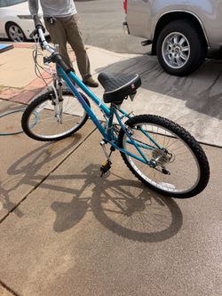 Roadmaster Mountain Bike