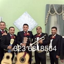 Moños De Mariachi 