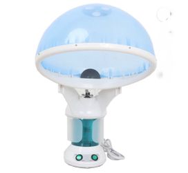 2 in 1 Mini Ozone Facial Steamer Hair Steamer, Blue White