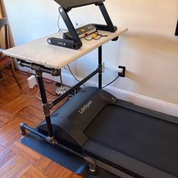 Walk/Jog Treadmill With Desk LifeSpan TR1200 DT