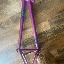 Cult panza x Too short bmx frame