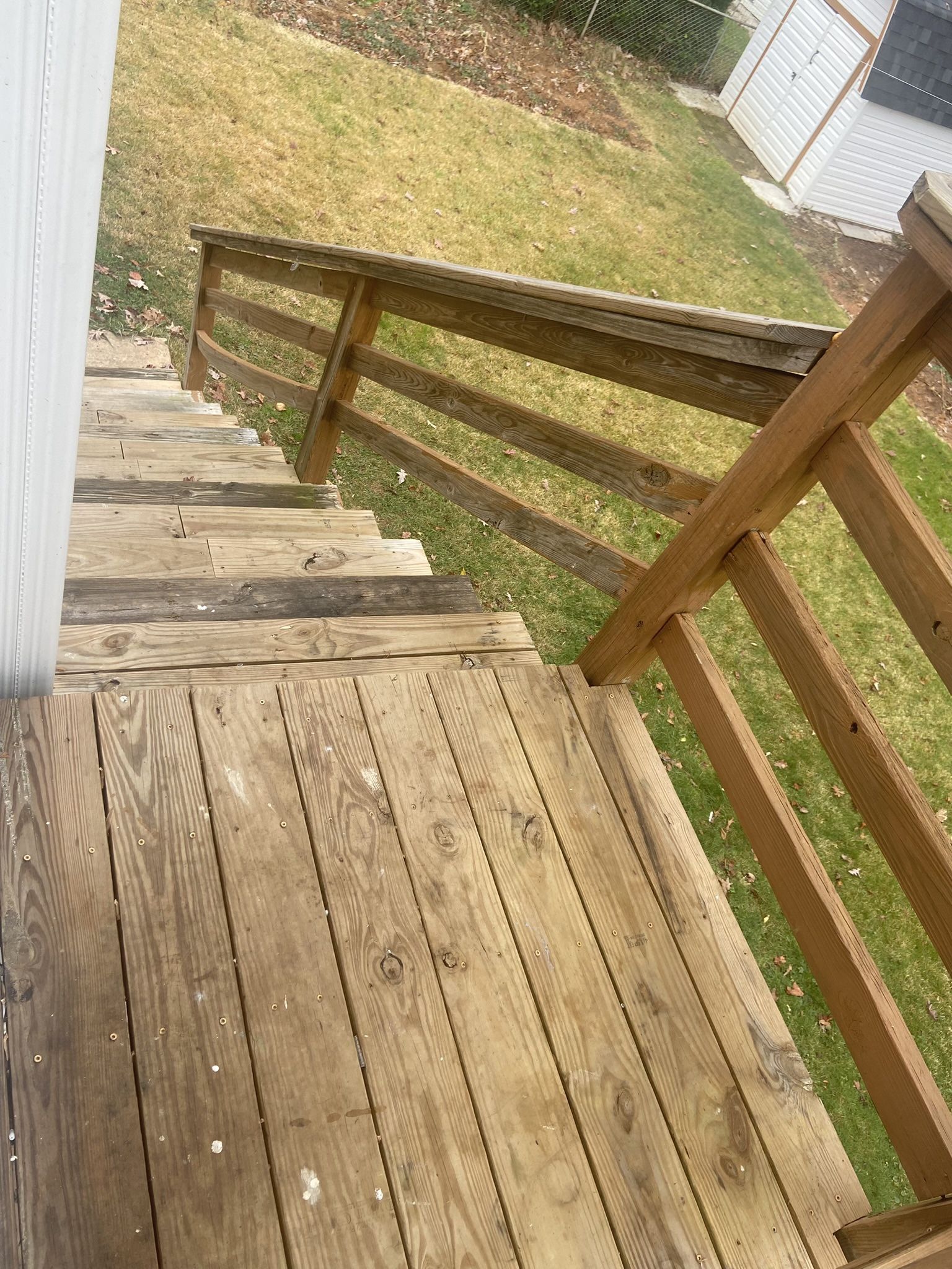 Roommate / Compañera De Habitación