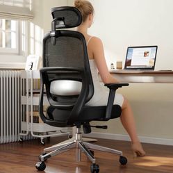 Home Office Desk Chairs（New）