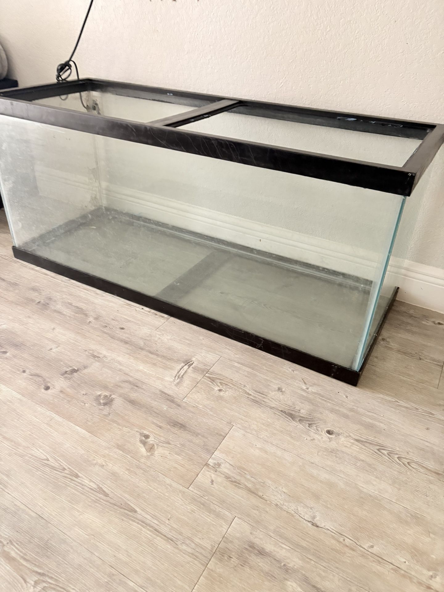 55 gallon fish tank